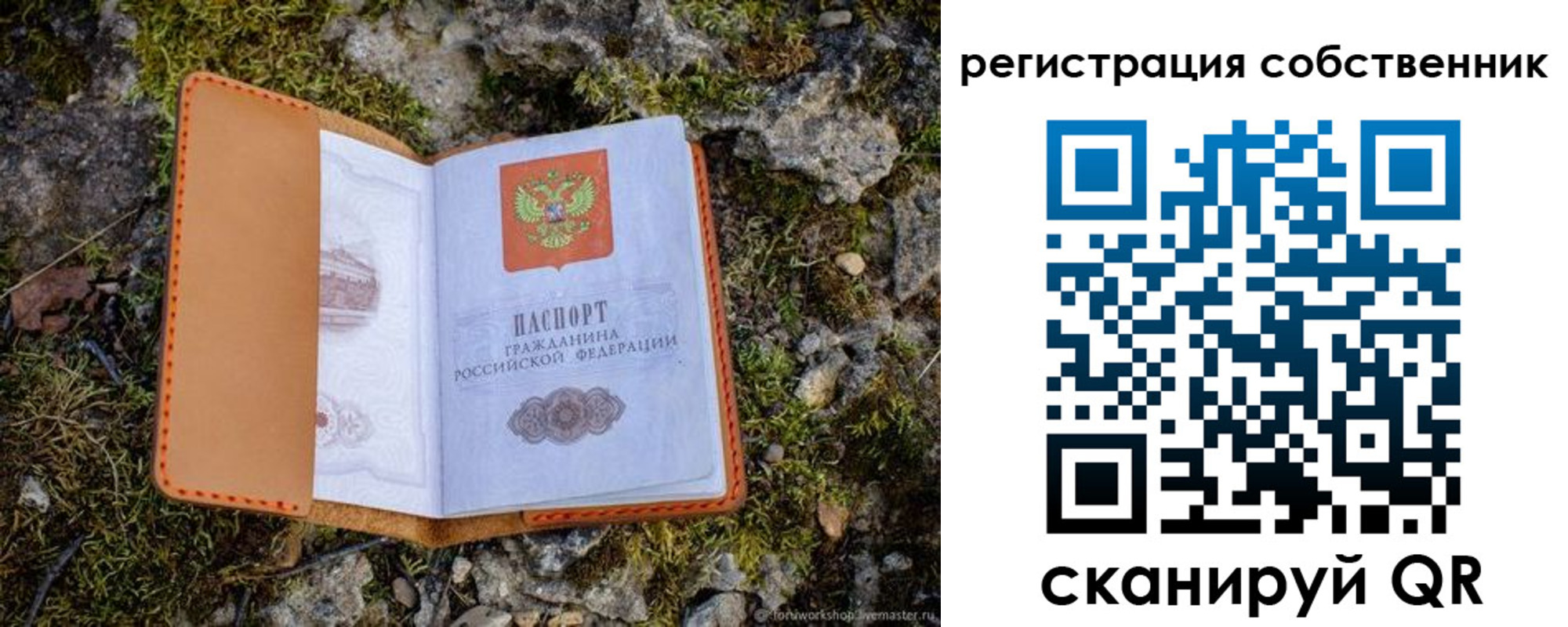 прописка поиск в Карталах